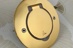 Prise à clapet étanche IP44 ronde or miroir Platinum