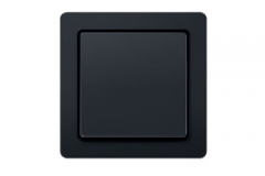 Berker Q1 anthracite