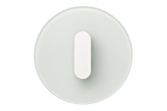 Berker R classic verre dépoli et blanc