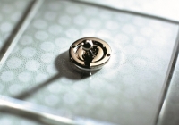 interrupteur Forbes and Lomax plexi nickel