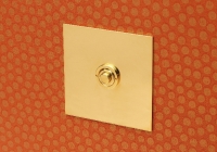 bouton poussoir Forbes and Lomax Laiton poli